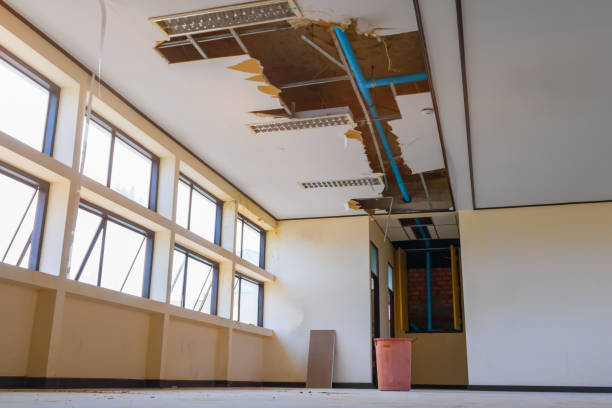 Best Water damage restoration near me  in Kirksville, MO