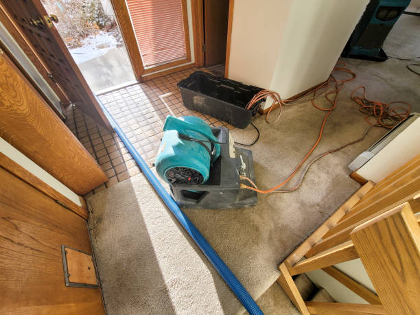 Best Fire Damage Restoration  in Kirksville, MO