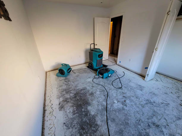Best Water damage restoration near me  in Kirksville, MO