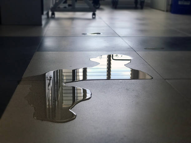 Best Commercial water damage restoration  in Kirksville, MO