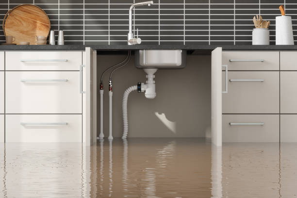 Best Sewage cleanup and water damage restoration  in Kirksville, MO