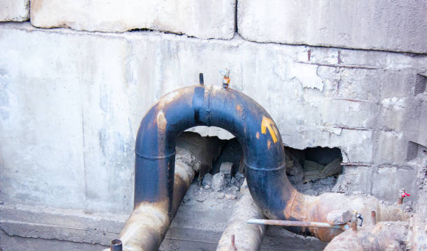 Best Flood damage cleanup  in Kirksville, MO